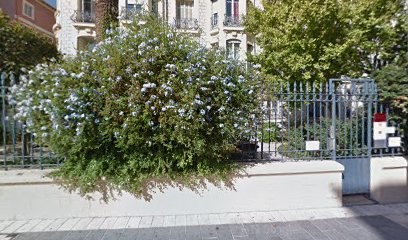 Palmaro Jean-Claude, Dermatologue à Nice